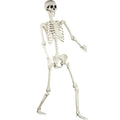 5.4 ft Posable Life Size Skeleton with Movable Joints J392