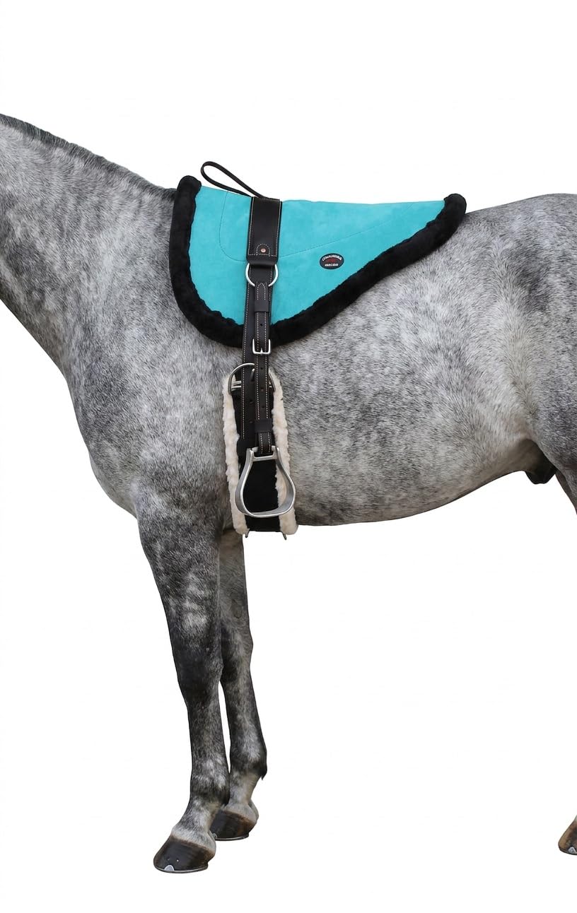Turquoise Suede Leather Western Saddle Pad with Stirrups I167125