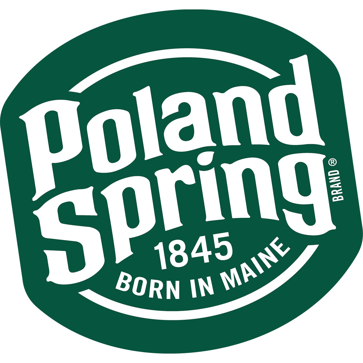 Spring Bottled Water 16.9 Fl Oz 96 Pack M52793