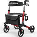 Foldable Rollator Walker with Seat T29212