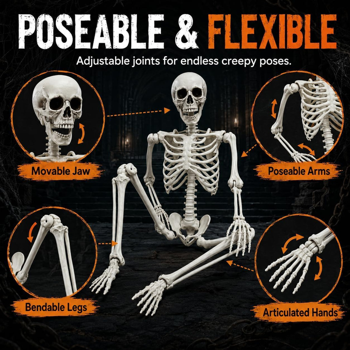5.4FT Life Size Posable Human Skeleton with Movable Jaw Z73135