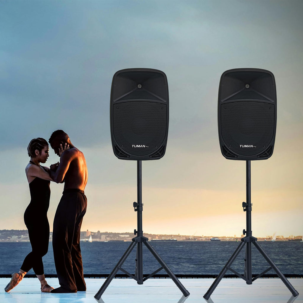 10 Inch 1200W PA Speaker System M447