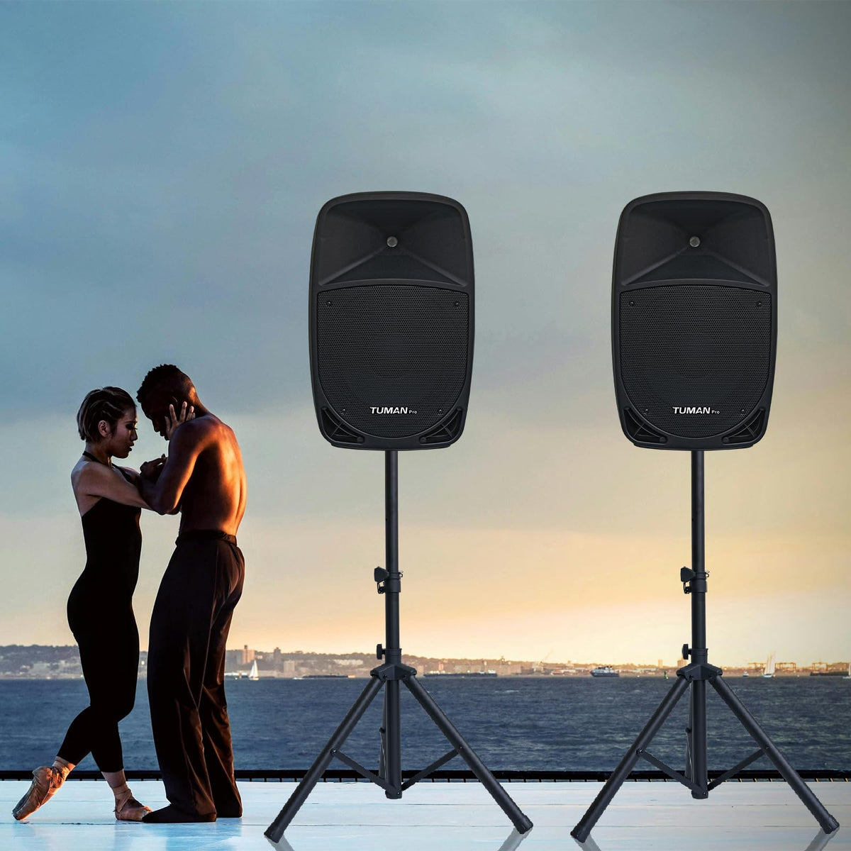 10 Inch 1200W PA Speaker System M447