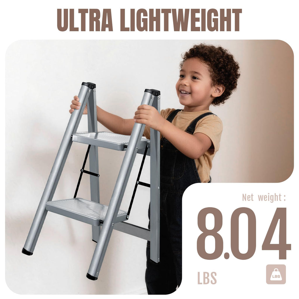 2 Step Steel Folding Step Stool B268