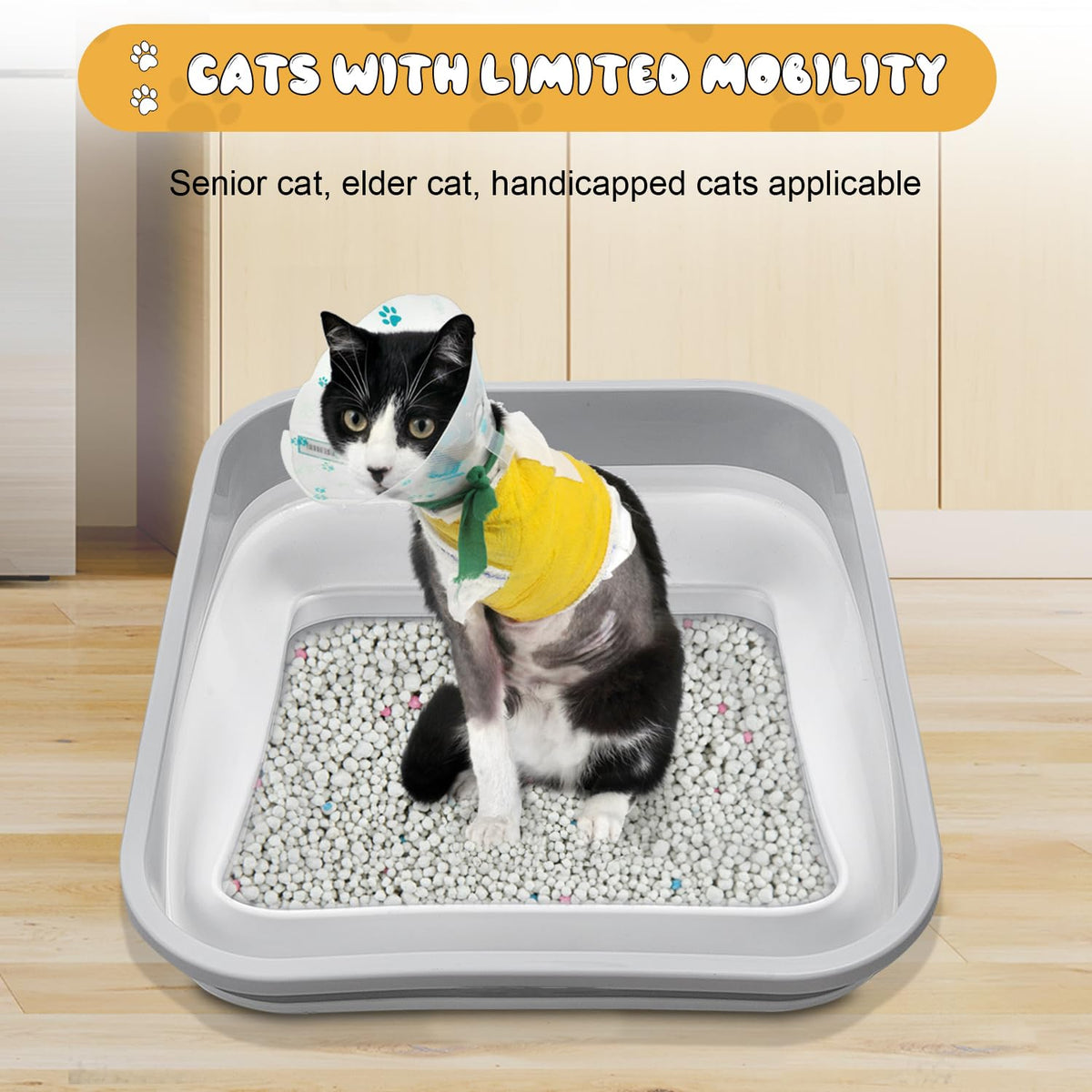 Collapsible Open Cat Litter Box V4723