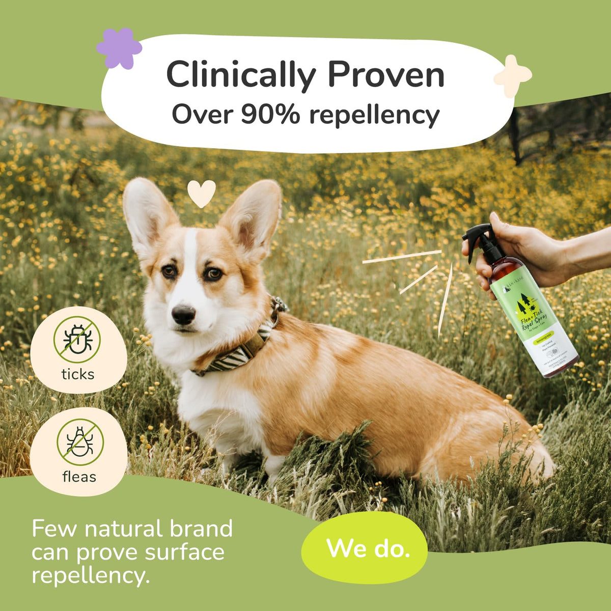 Lemongrass Flea & Tick Repel Coat Spray for Dogs & Cats 12 fl oz D24698