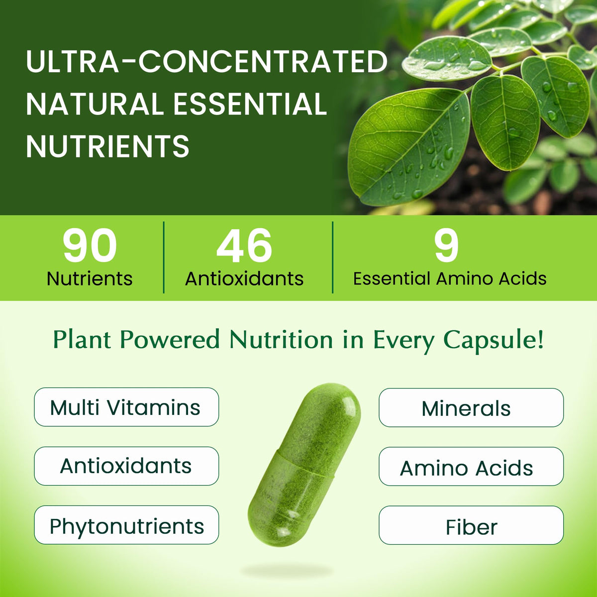 1000mg Organic Moringa Capsule 120 Vegan Capsule W808557