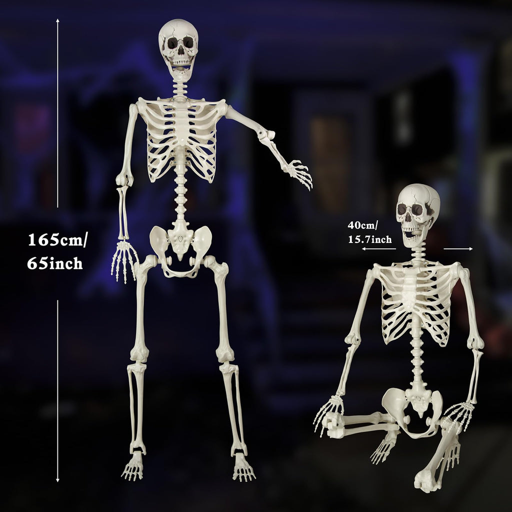 5.4 ft Posable Life Size Skeleton with Movable Joints J392