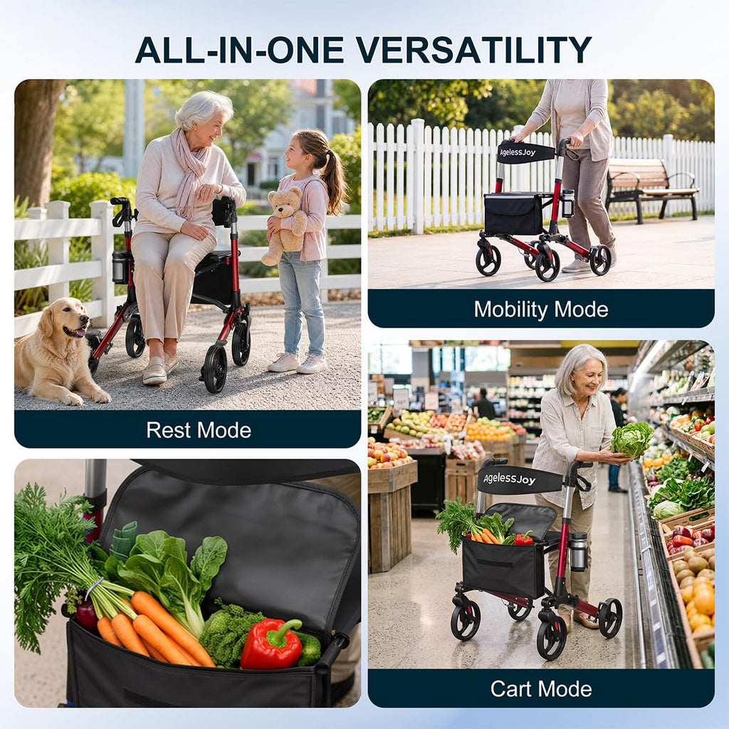 Foldable Rollator Walker with Seat T29212