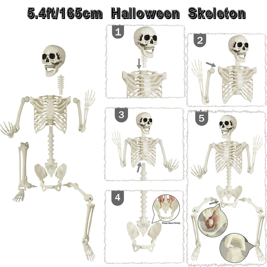 5.4 ft Posable Life Size Skeleton with Movable Joints J392