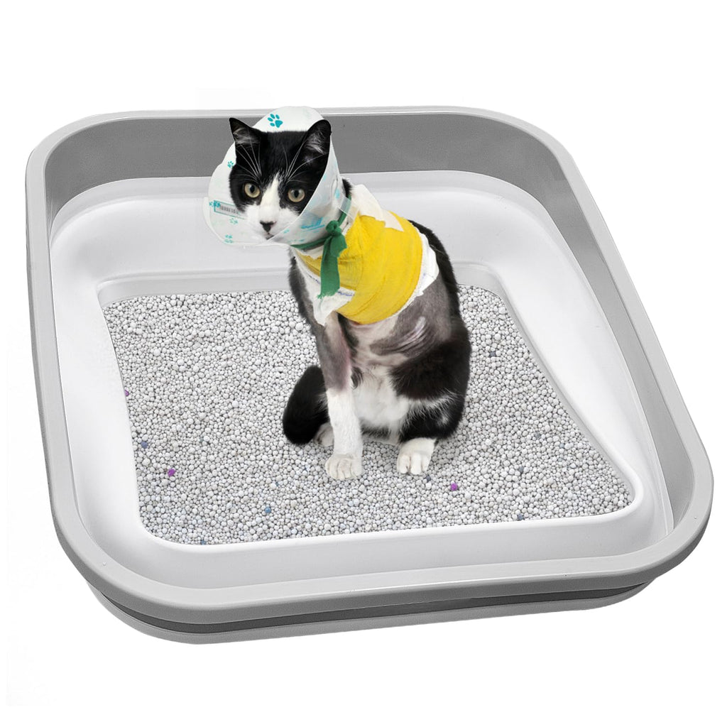 Collapsible Open Cat Litter Box V4723