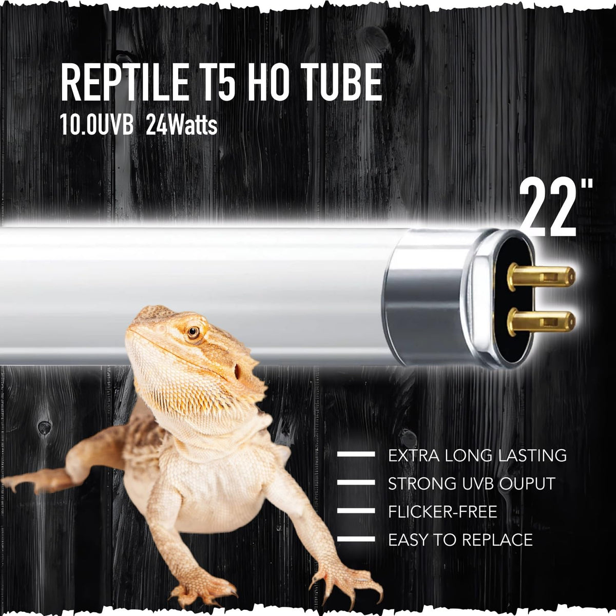 T5 UVB Light Kit and 2-Pack Replacement Tubes G93514