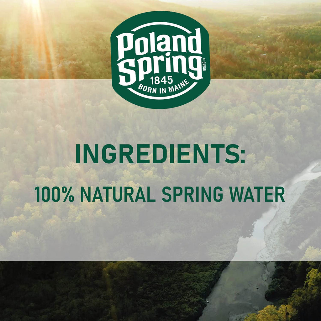 Spring Bottled Water 16.9 Fl Oz 96 Pack M52793