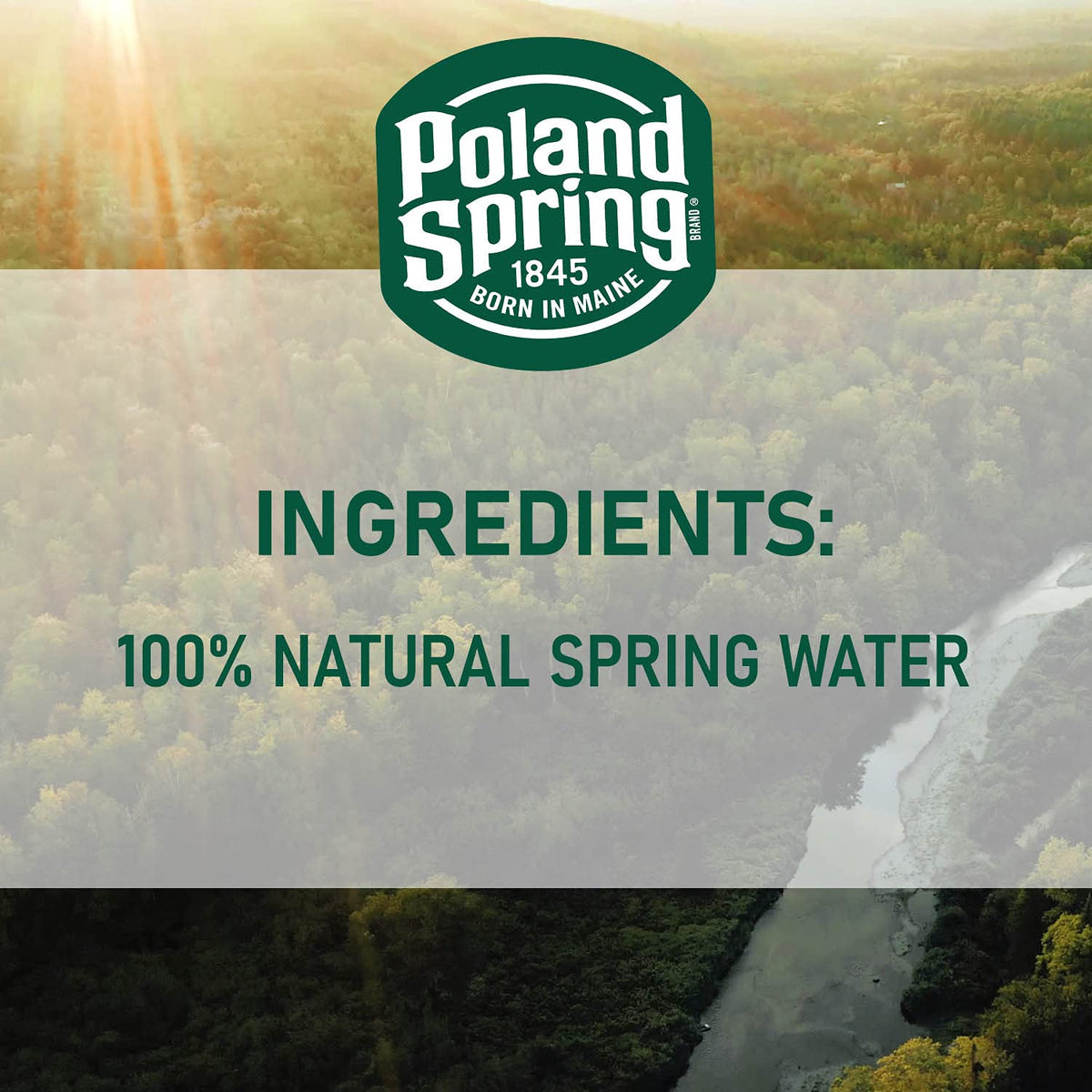Spring Bottled Water 16.9 Fl Oz 96 Pack M52793