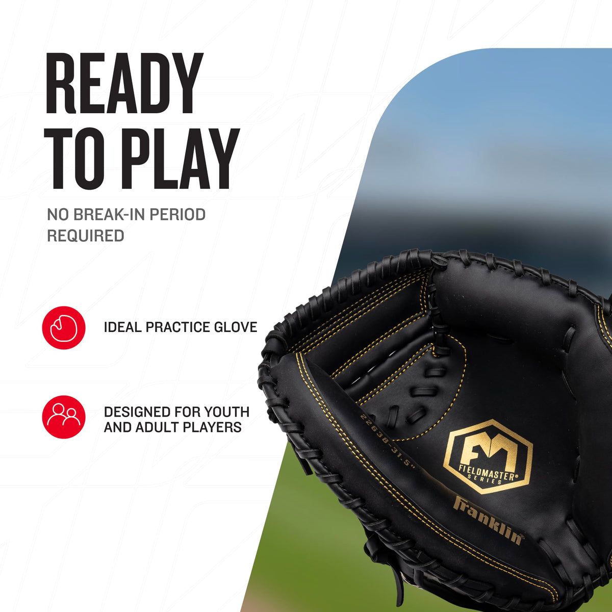 Baseball Glove M79712