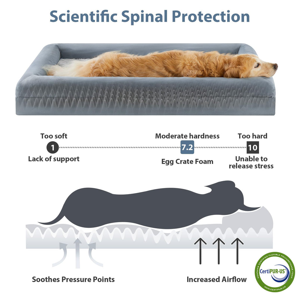XL Extra Large Orthopedic Dog Bed W909