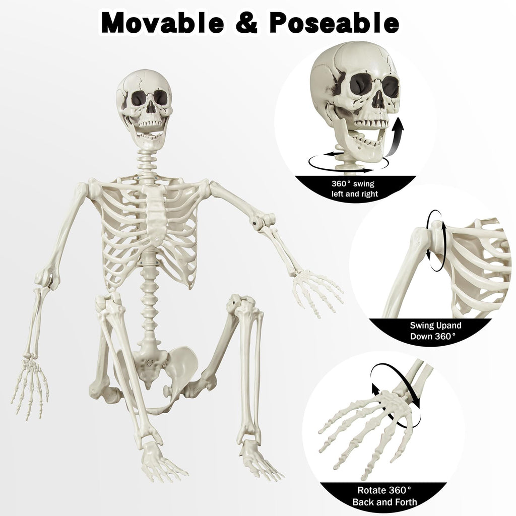 5.4 ft Posable Life Size Skeleton with Movable Joints J392
