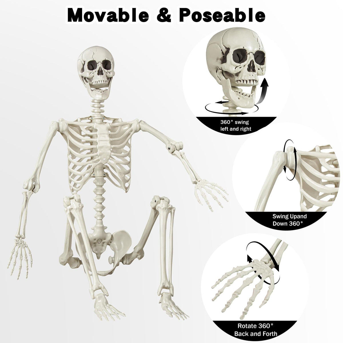 5.4 ft Posable Life Size Skeleton with Movable Joints J392