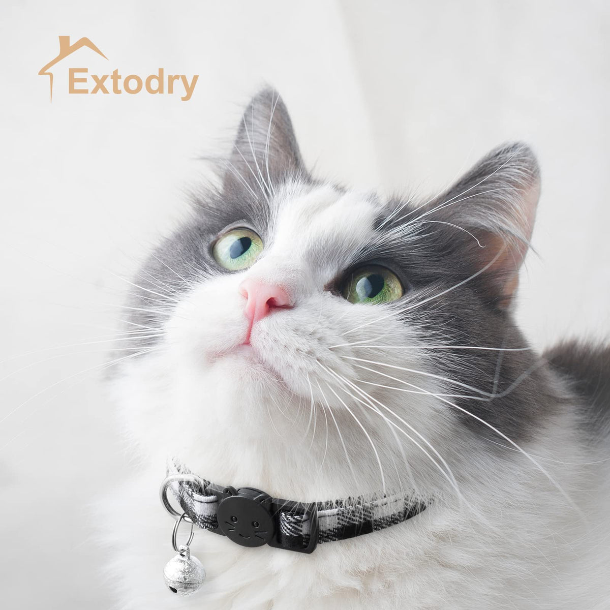 6 Pack Plaid Cat Collars with Bells Y8902