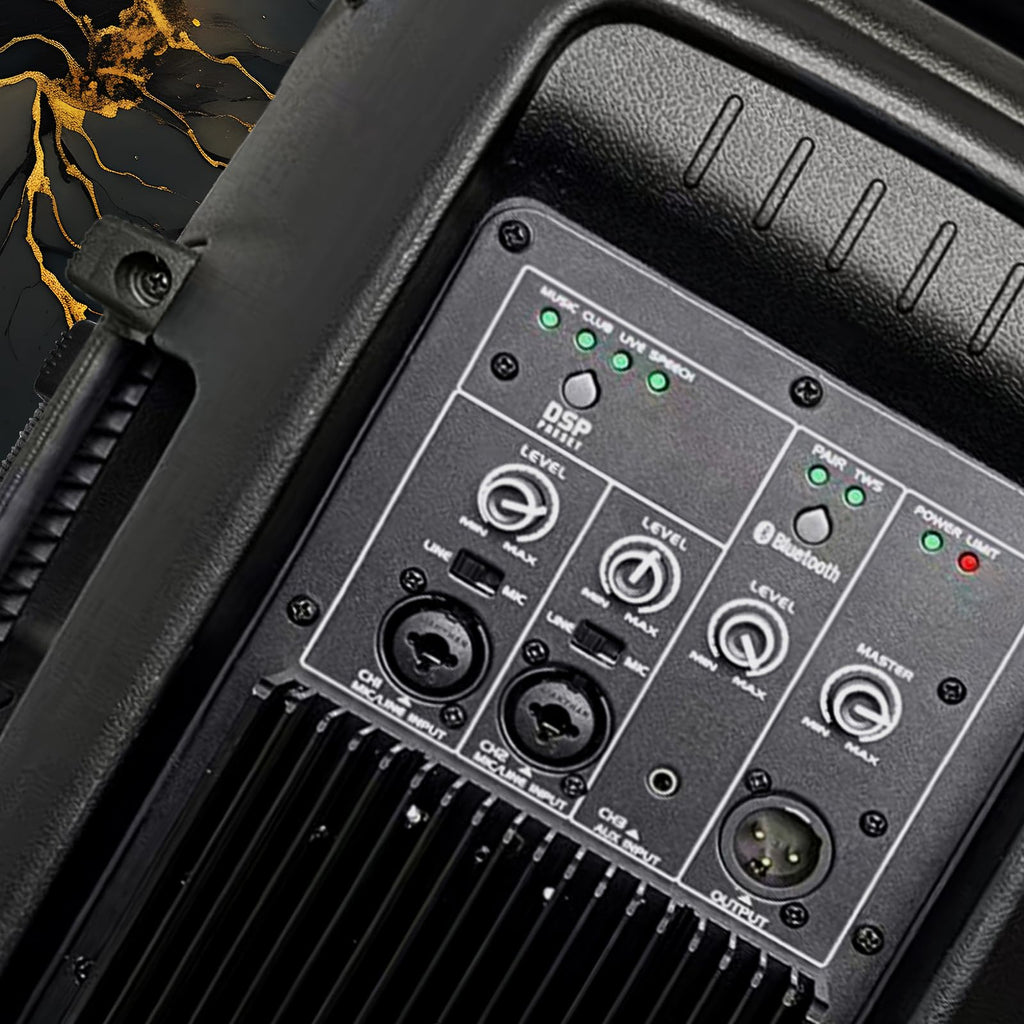 10 Inch 1200W PA Speaker System M447
