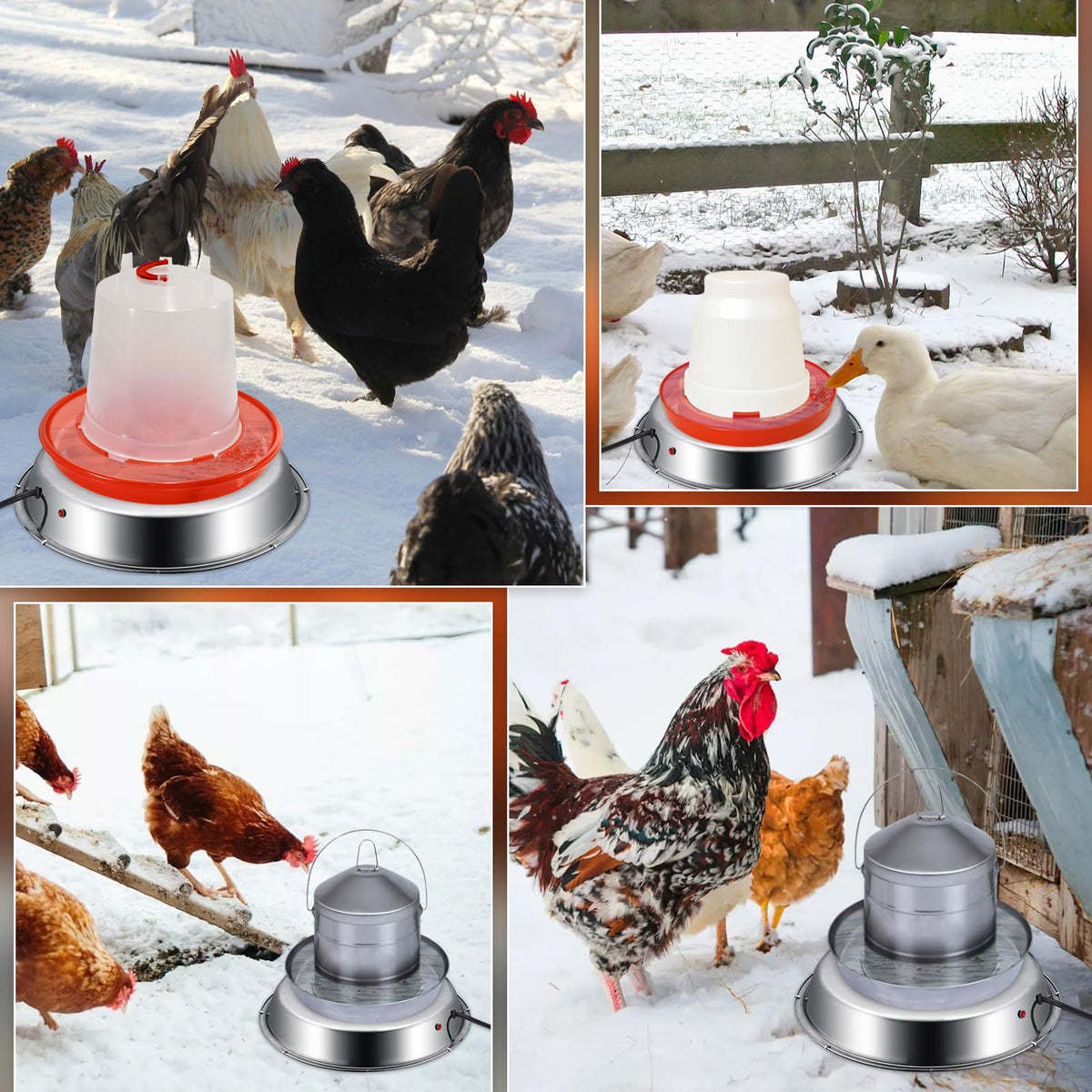 12 Inch 5 Gallons Poultry Waterer Heated Base with Thermostat D3150