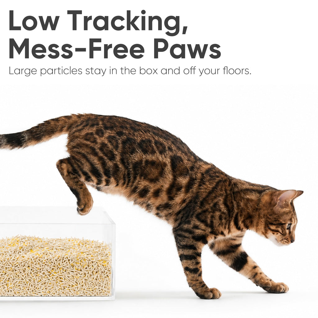 Clumping Tofu Cat Litter 18 lb K7672