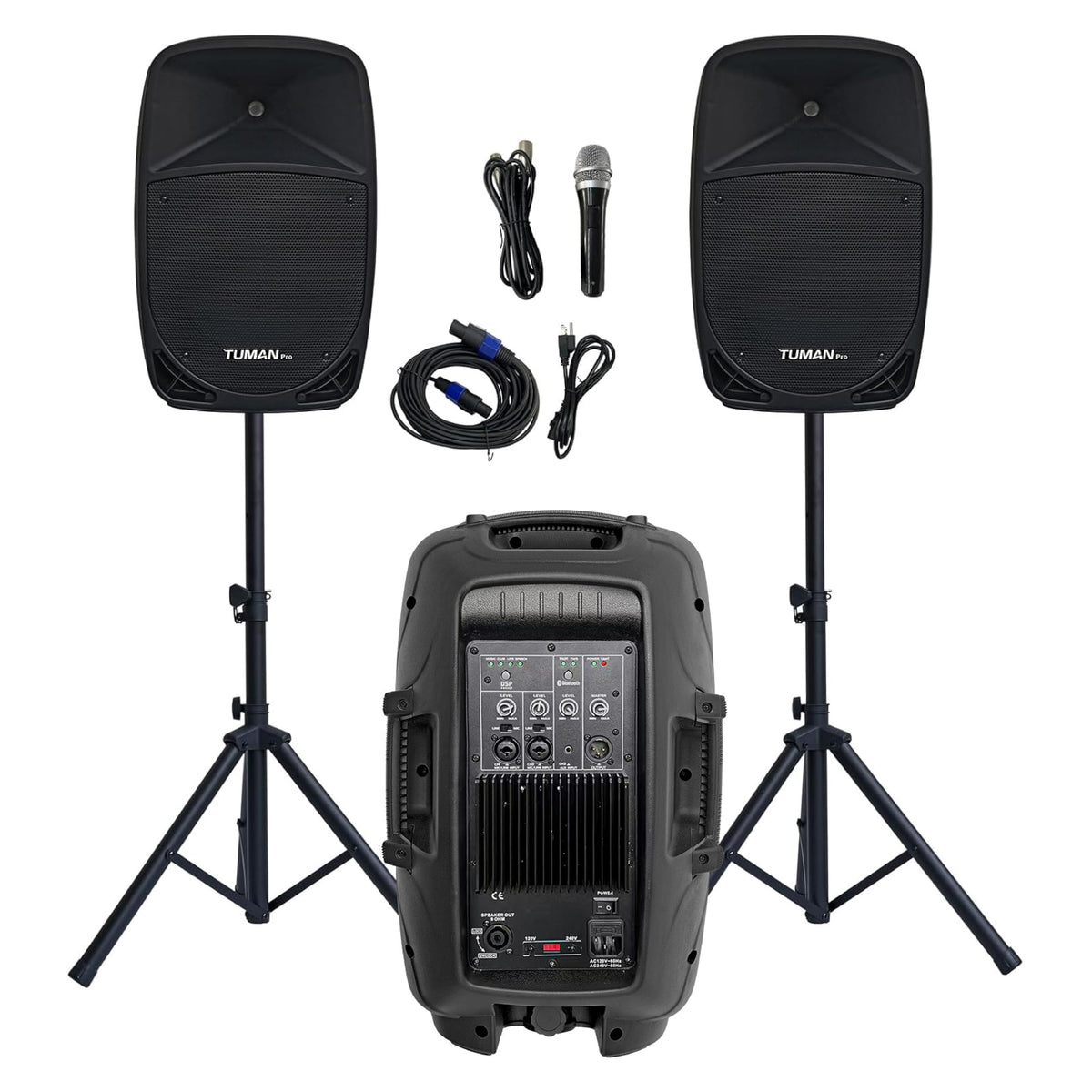 10 Inch 1200W PA Speaker System M447