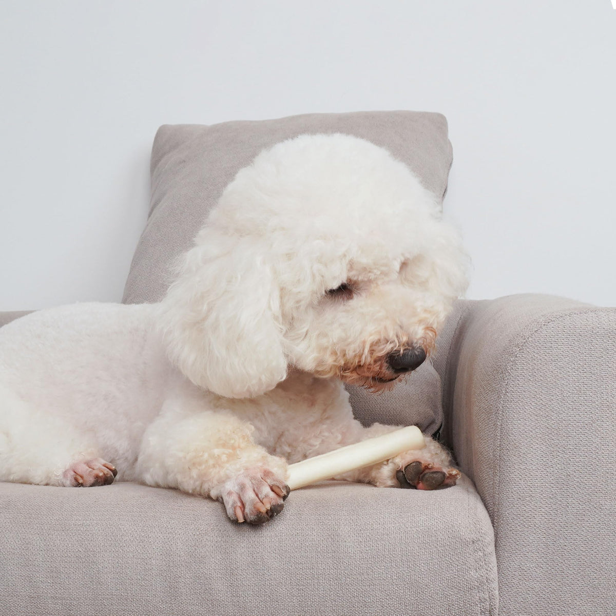 6Inch Natural Flavor Rawhide Rolls Dog Treats D9400