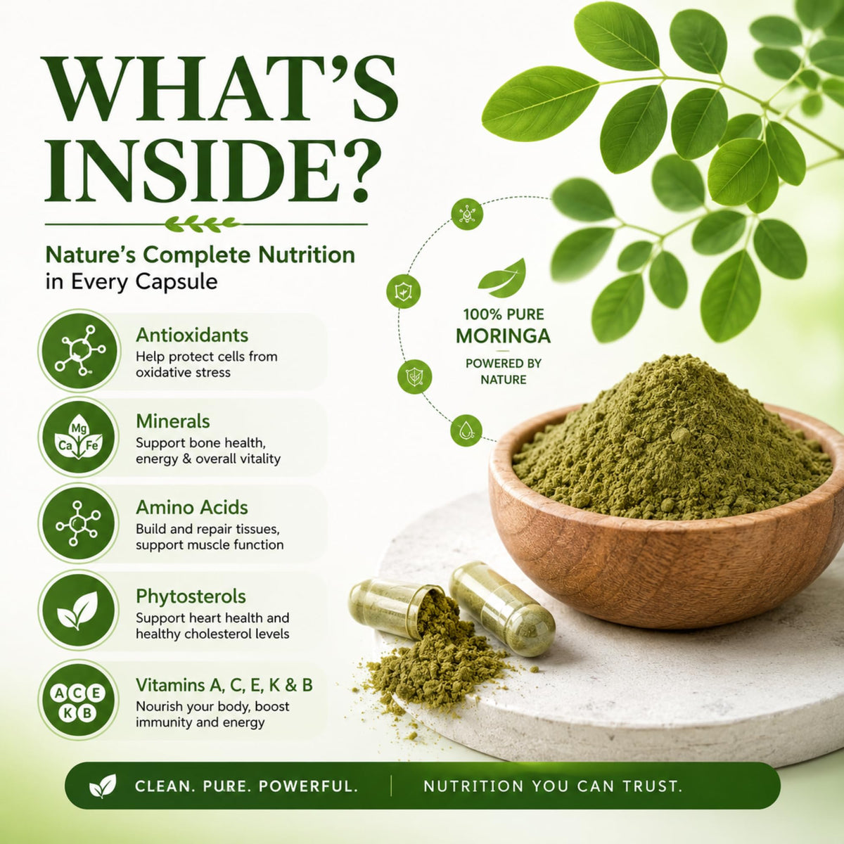Organic Moringa Capsules 800mg 120 Count M4920