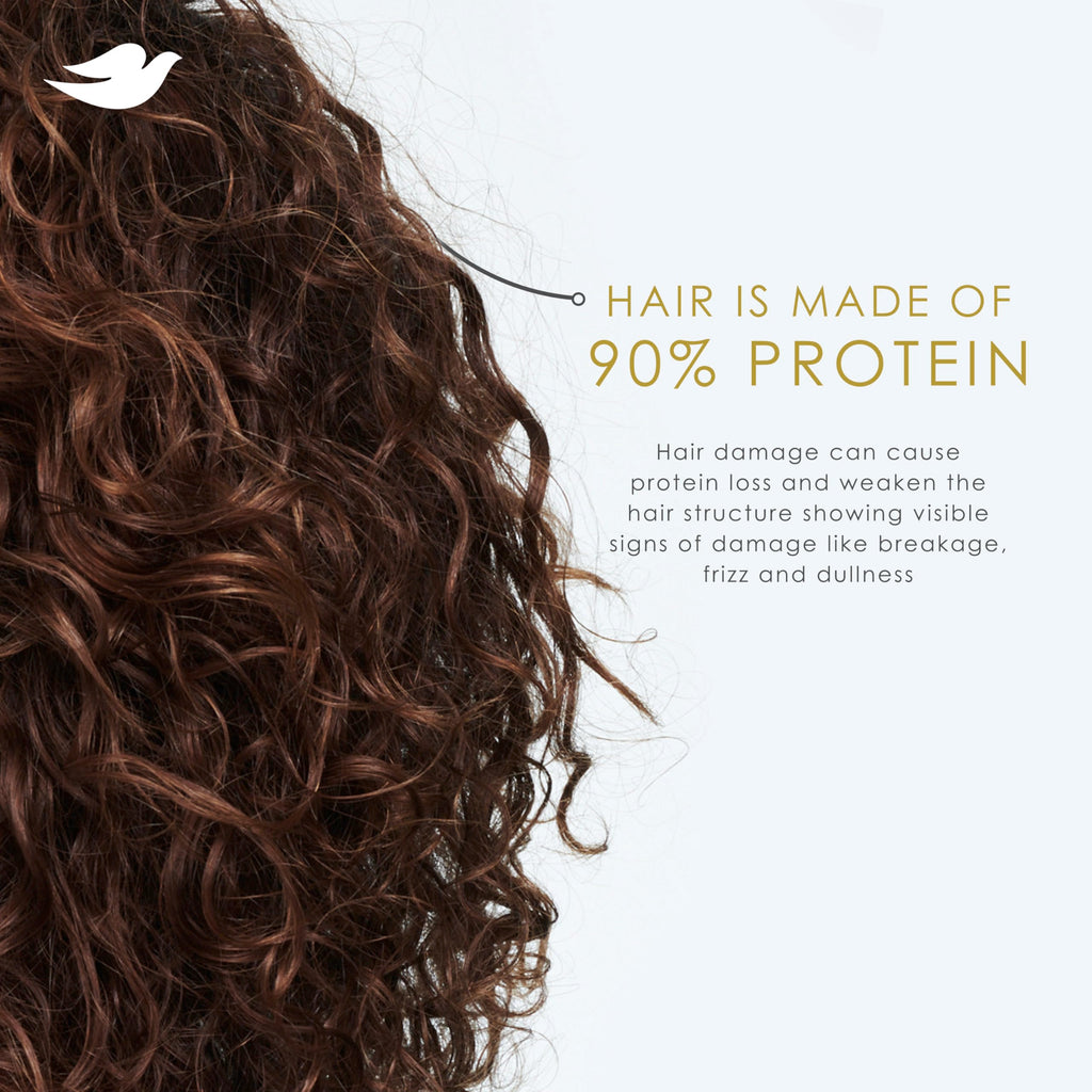 Shampoo and Conditioner 28 Fl oz V167